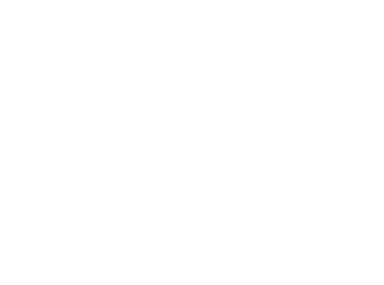 Footer-Logo